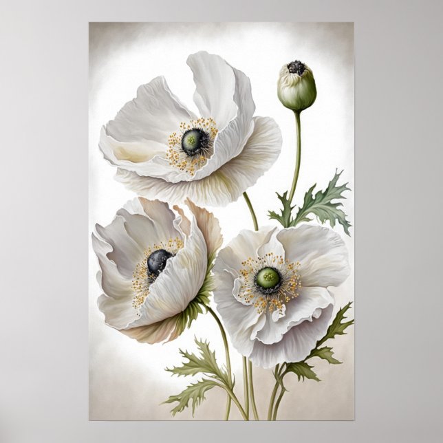 White Poppy Flowers Art Print Poster (Front)