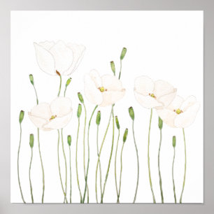 white poppy watercolor horizontal poster