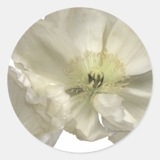 White Poppy Wedding Envelope Seals