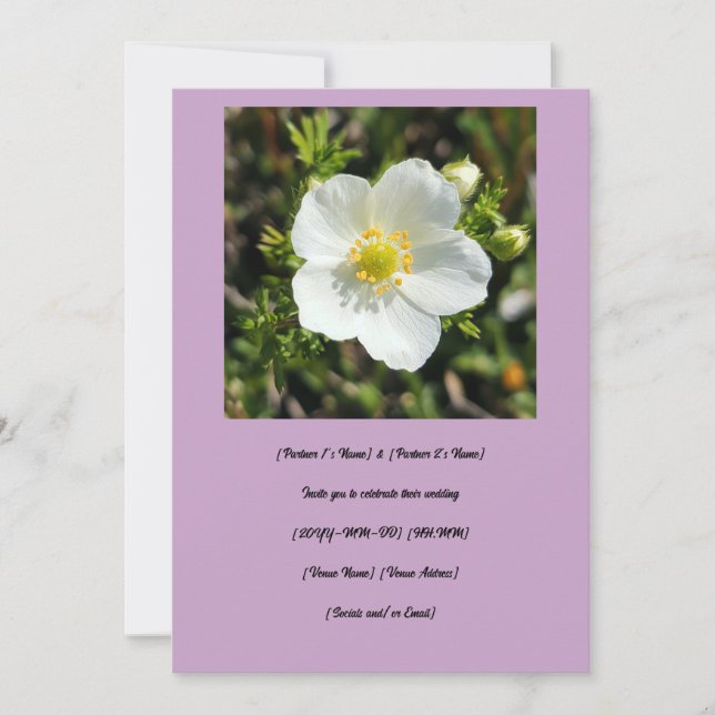 White Potentilla Wedding Invitation (Front)