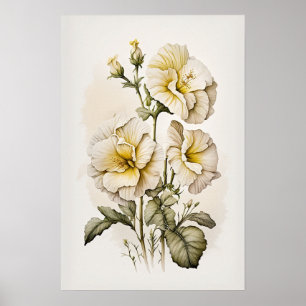 White Primrose Flowers Art Print Poster