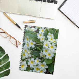 White Primroses with Yellow Centres Floral Notebook