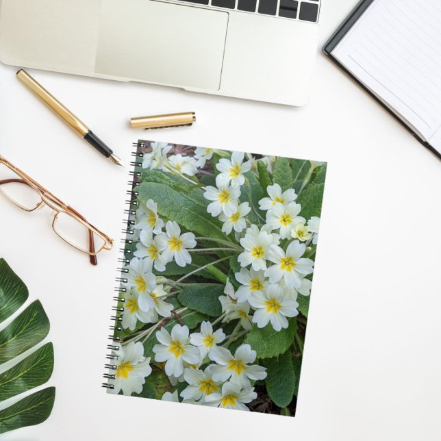 White Primroses with Yellow Centres Floral Notebook (In Situ)