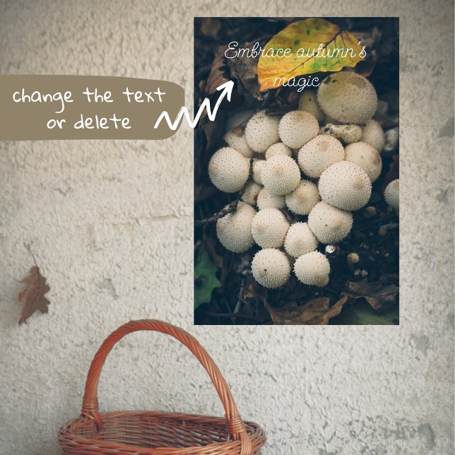 White puffball mushrooms among autumn leaves poster (Creator Uploaded)