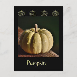 White Pumpkin Mini Gourd Fall Postcard