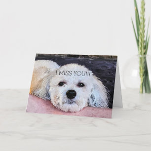 WHITE PUP MISSING YOU CARD
