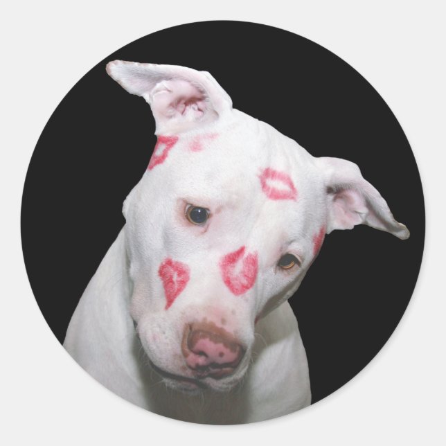 White Puppy Dog Love, Sealed with Lipstick Kisses Classic Round Sticker (Front)