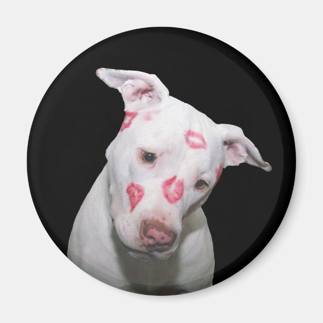 White Puppy Dog Love, Sealed with Lipstick Kisses Magnet (Front)