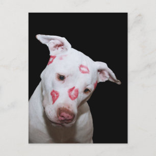 White Puppy Dog Love, Sealed with Lipstick Kisses Postcard
