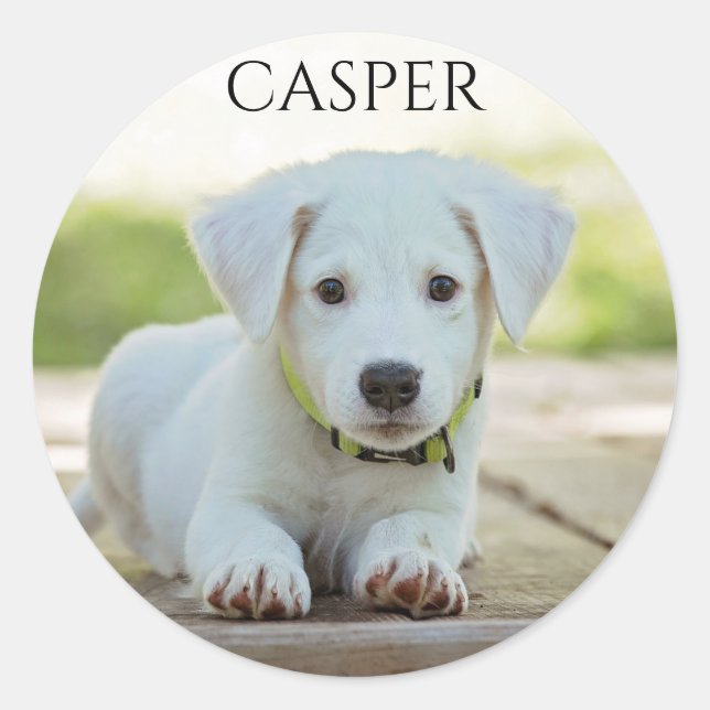 WHITE PUPPY STICKER WITH NAME OF CHILD OR PUPPY. (Front)