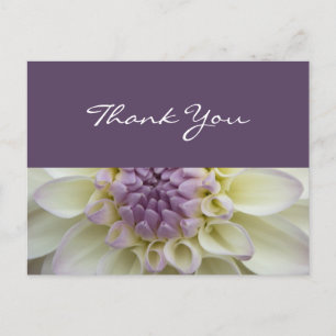 White & Purple Dahlia • Thank You Postcard