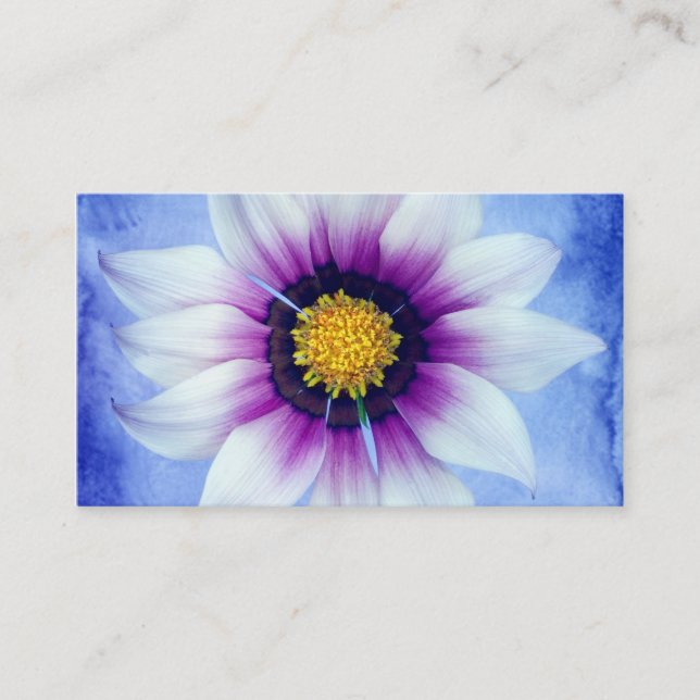 White & Purple Daisy on Blue Background Customised Business Card (Front)