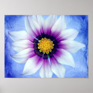 White & Purple Daisy on Blue Background Customised Poster