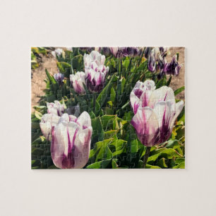 White & Purple Stripe Tulips Jigsaw Puzzle