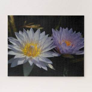 White Purple Waterlilies Jigsaw Puzzle