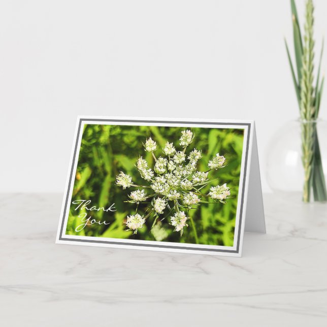 White Queen Anne’s Lace Flower Card (Front)
