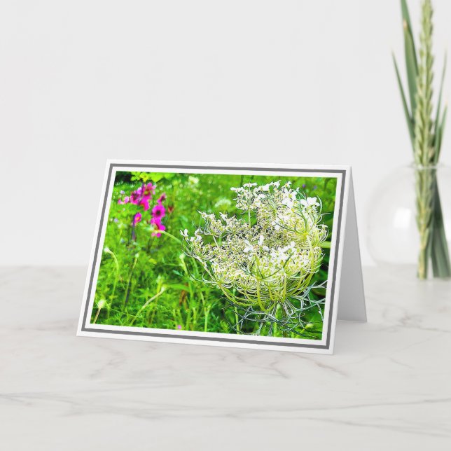 White Queen Anne's Lace Flower in Green Field Card (Front)