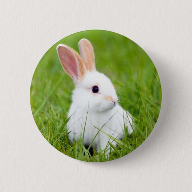 White Rabbit 6 Cm Round Badge (Front)