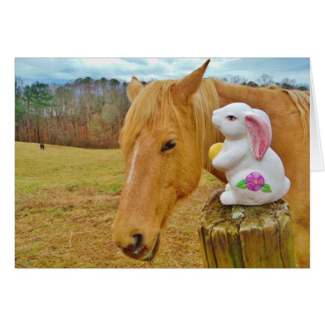 White rabbit and blonde yellow horse (Front Horizontal)