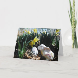 White rabbit and cow egg holiday card