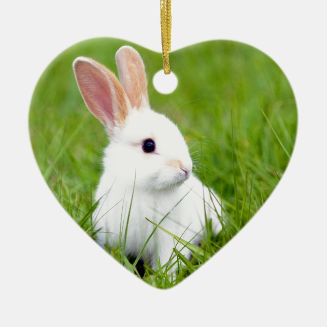 White Rabbit Ceramic Tree Decoration (Front)