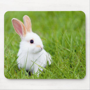 White Rabbit Mouse Mat
