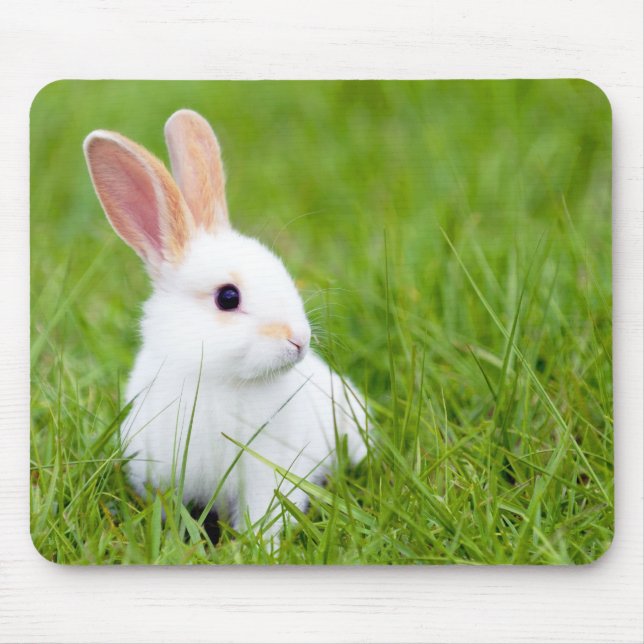 White Rabbit Mouse Mat (Front)