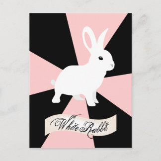 White Rabbit, Pink and White Postcard