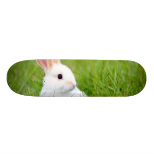 White Rabbit Skateboard