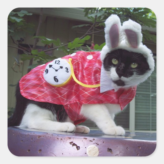 White Rabbit Sticker (Front)