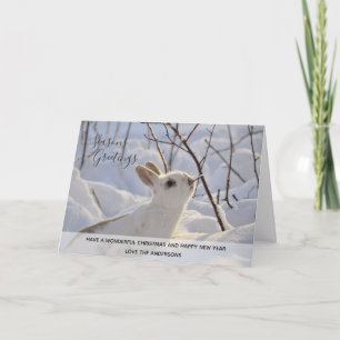 White Rabbit Winter Snow Xmas Photo Personalised Holiday Card