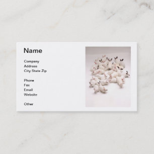 White Rabbits Business Card
