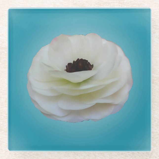 White Ranunculus Flower Glass Coaster (Front)