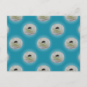 White Ranunculus Flower Postcard