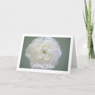 White Ranunculus Greeting Card