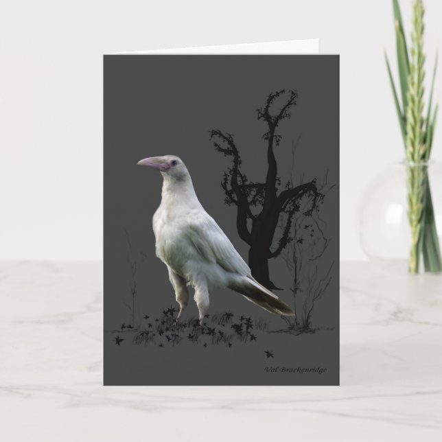 White Raven Greeting Cards (Front)