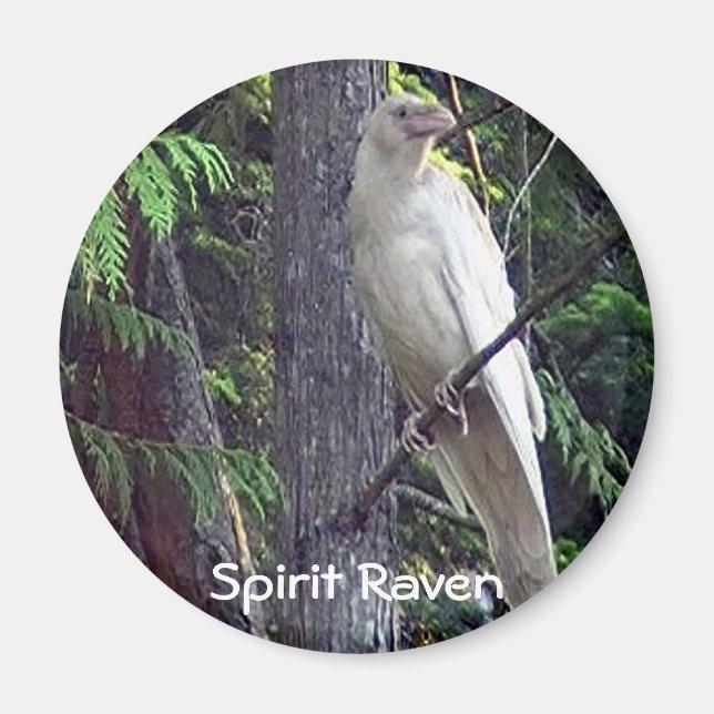 White Raven Magnets (Front)