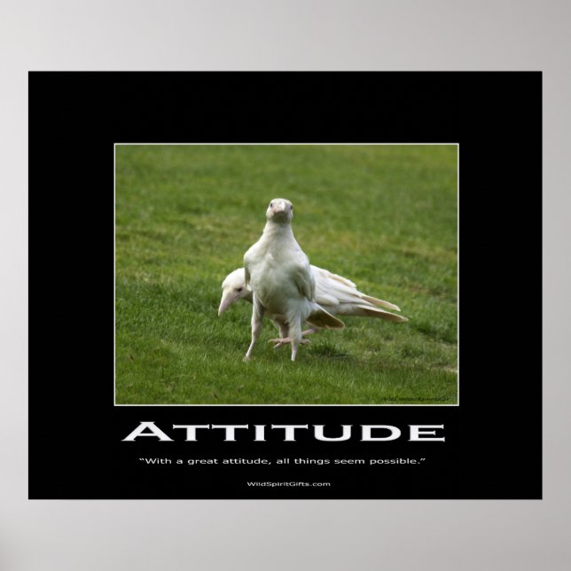 White Ravens Motivational Poster (Front)