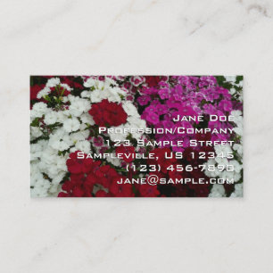 White, Red and Pink Dianthus Business Card