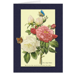 White Red Roses Blank Botanical Art Card