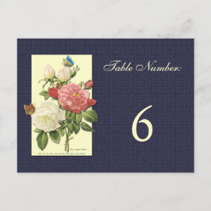 White Red Roses Table Number Postcard