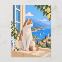 White Red Turkish Van Mediterranean