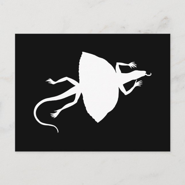 White reptile postcard (Front)