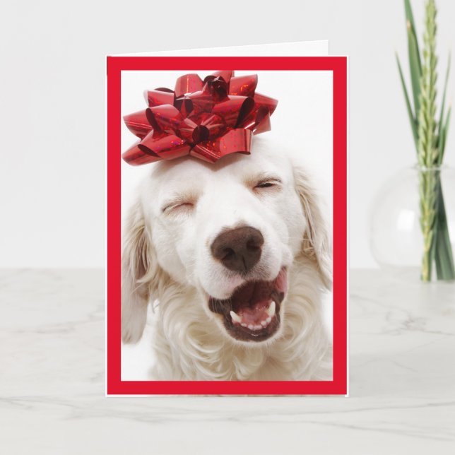 WHITE RETRIEVER WEARING BOW HAPPY NEW YEAR CARD (Front)