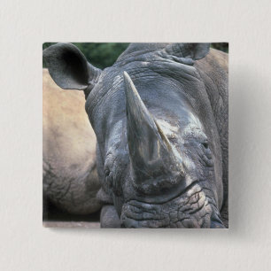 White Rhino 15 Cm Square Badge