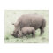 White Rhino & Baby Postcard