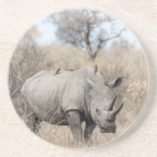 White Rhino Coaster