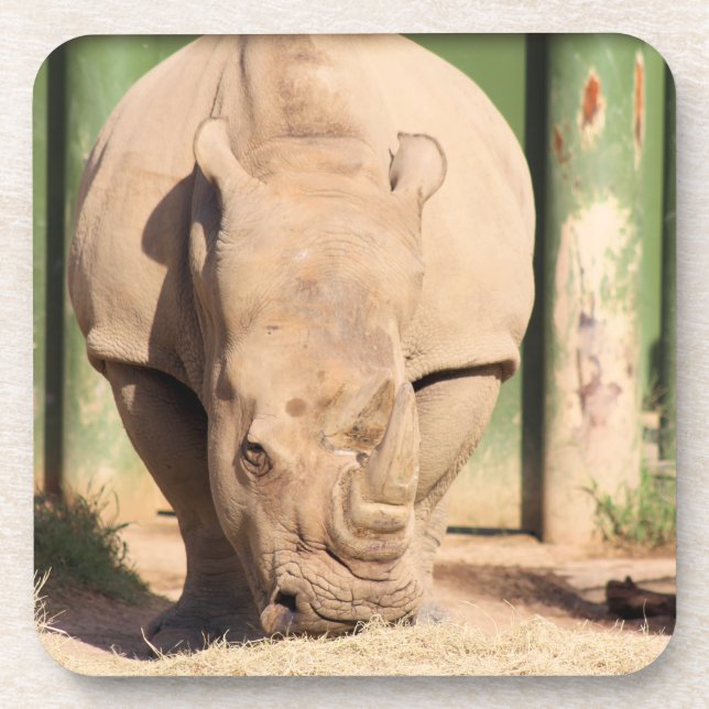 White Rhino Coaster (Front)