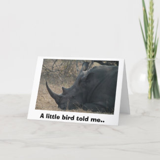 White Rhino gets Advice from a Little Bird, A l... Card