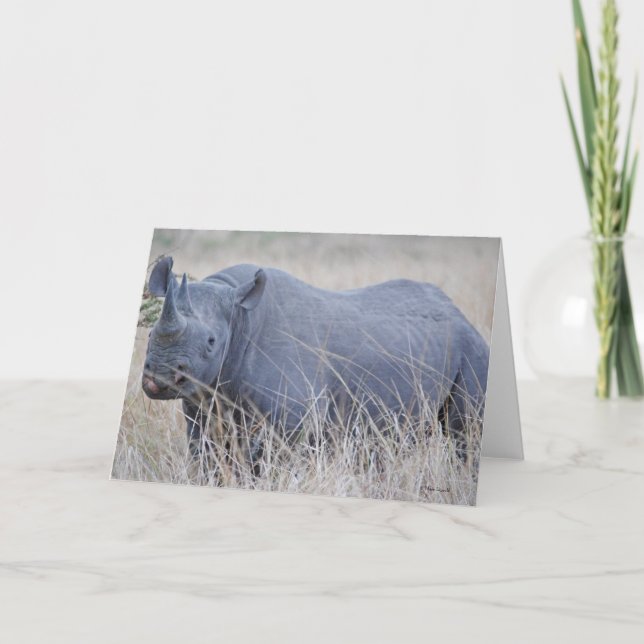 White Rhino Greeting Card (Front)